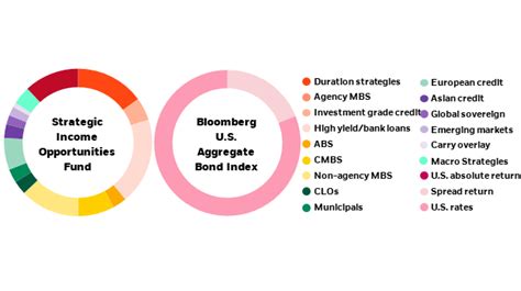 bsiix|BlackRock Strategic Income Opportunities Portfolio  .